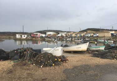 Trail Walking Gruissan - Gruissan - Tour de l'île Saint Martin par l'Ayrolle - Photo