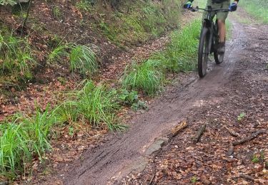 Tocht Elektrische fiets Badonviller - rando des lacs 2024 - Photo