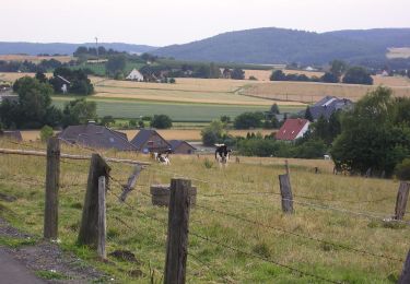 Trail On foot Lübbecke - A3 Preußisch Oldendorf-Holzhausen - Photo