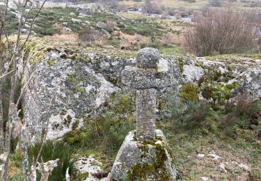 Trail Walking Recoules-d'Aubrac - Pont gourmier Recoules Nasbinals Le Bes - Photo