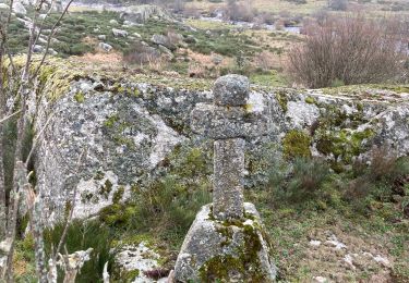 Excursión Senderismo Recoules-d'Aubrac - Pont gourmier Recoules Nasbinals Le Bes - Photo