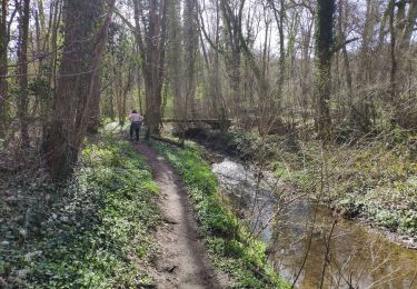 Trail Walking Villiers-le-Bâcle - Gif 2021 : Mérantaise 0 - Photo