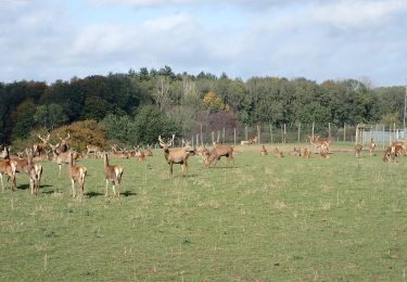 Tour Mountainbike Namen - Circuit des fermes de Hesbayes - Photo