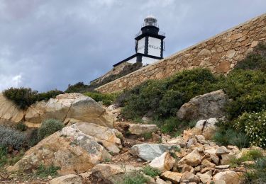 Tour Wandern Calvi - Revellata  - Photo