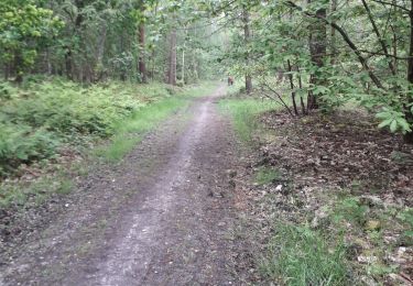 Tour Wandern Petit-Couronne - Petit-Couronne  4.8 -- 03-05-2020 - Photo