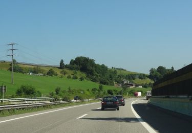 Randonnée A pied Läufelfingen - Läufelfingen - Ober Diegten - Photo