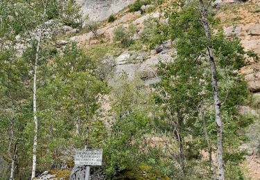 Excursión Senderismo Arinthod - Boucle au départ d'Arinthod - Photo