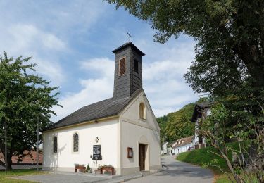 Tour Zu Fuß Gemeinde Sitzenberg-Reidling - Türkenkreuzrunde - Photo