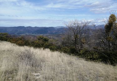 Trail Walking Roche-Saint-Secret-Béconne - le rocher des aures  - Photo