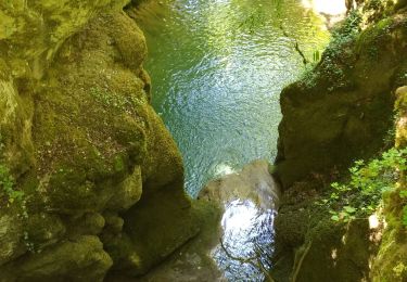 Tour Zu Fuß Salins-les-Bains - SALIN LES BAINS - GOUR DE CONCHE - Photo