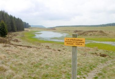 Trail Walking Besse-et-Saint-Anastaise - 21-MAI-19 15.16.16 - Photo