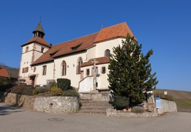 Tocht Stappen Dambach-la-Ville - Traversée du massif du Bernstein - Photo