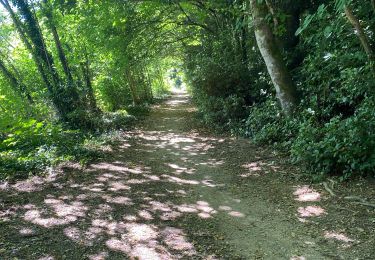 Trail Walking Saint-Jean-du-Gard - Pic de l’´Arbousse - Photo
