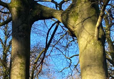 Tour Wandern Gerpinnes - Visite chez Eric-Emmanuel Schmidt - Photo