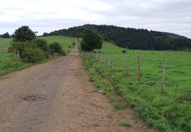 Trail Walking Aydat - Pessade depuis la Garandie - Photo