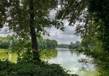 Percorso A piedi Nettetal - Rundweg A3 Nettebruchsee - Photo