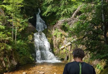 Trail Walking Saint-Bonnet-le-Courreau - 220629 jasserie de garnier - Photo