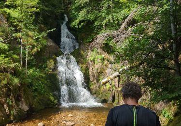 Tocht Stappen Saint-Bonnet-le-Courreau - 220629 jasserie de garnier - Photo