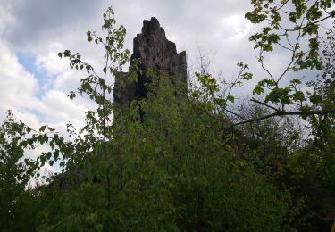 Excursión Senderismo Bogny-sur-Meuse - sentier nature - Photo