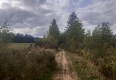 Randonnée Marche Theux - autour de bronrome - Photo