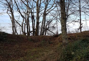Trail Walking Groissiat - Alex-Chateau-Apremont - Photo