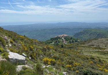 Trail Walking Le Bar-sur-Loup - Le Bar sur Loup Gourdon Barre et plateau de Cavillore réel - Photo