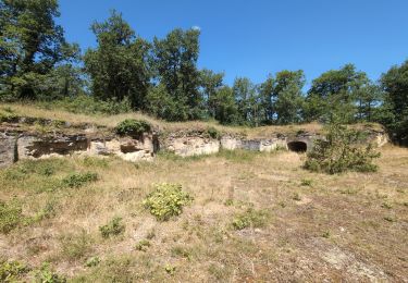 Percorso Marcia Chinon - Chinon - Puys du Chinonais Saint-Louans - 18.2km 265m 5h15 (1h20) - 2025 06 28 - Photo