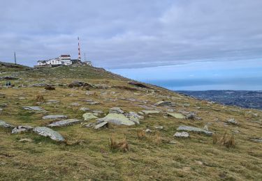 Excursión Senderismo Vera de Bidasoa - LaRhune par col lizuniaga - Photo