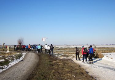 Percorso A piedi Amsterdam - Groene Wissel: Amsterdam-CS - Photo