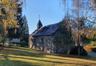Trail Walking Lierneux - rando reharmont 6/11/2020 - Photo