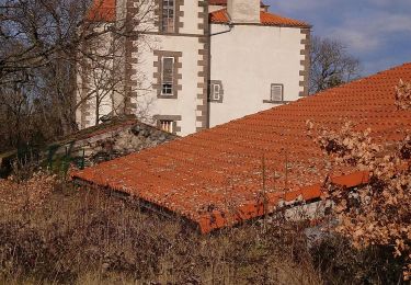 Percorso Marcia Malauzat - Le Chancet les Ratiers  - Photo