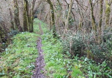 Tour Wandern Soussans - marai de Soussan - Photo