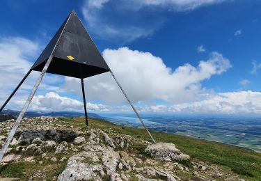 Tocht Stappen Jougne - aiguilles de Baulmes et retour  Suchet  - Photo