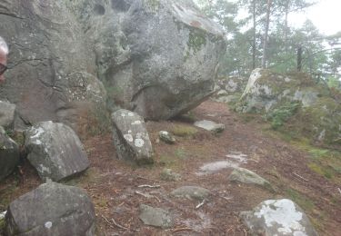 Tocht Stappen Arbonne-la-Forêt - arbonne-chanfroy 20 mai 2022  - Photo