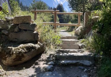 Excursión Senderismo Chamonix-Mont-Blanc - les Tines Planet lavancher par petit balcon - Photo