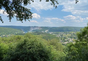 Excursión Senderismo Profondeville - De Lustin à Namur par le GR126 - Photo