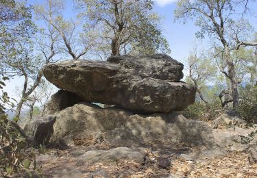 Excursión Senderismo Argelès-sur-Mer - Château de Valmy par les dolmens - Photo