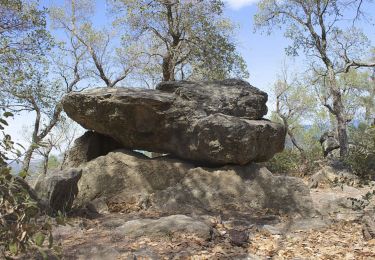 Tour Wandern Argelès-sur-Mer - Château de Valmy par les dolmens - Photo