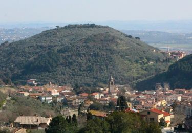 Tour Zu Fuß Vicopisano - Vicopisano - Campo dei Lupi - Mandrie - Col di Cincia - Buti - Photo