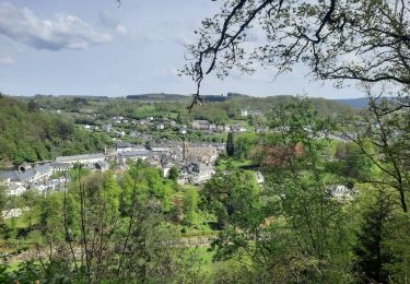 Tour Wandern Bouillon - sabots de Godefroid  - Photo