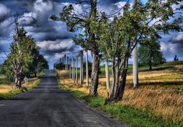 Percorso A piedi Deutschneudorf - Zážitková NS „Dvě země – jeden region“ - Photo