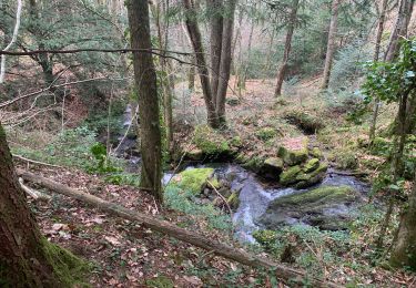 Tocht Stappen Brassac - Ruisseau du Ser - Photo