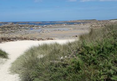 Tour Motorboot Pleumeur-Bodou - Visite des sept Iles  - Photo