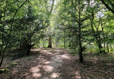 Trail Walking Ouzouer-sur-Loire - Ouzouer sur Loire 45 les sources  - Photo