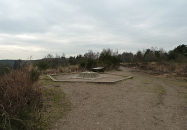 Trail On foot Maasmechelen - Mechelse Heide Rode driehoek - Photo