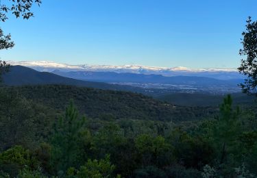 Trail Walking Roquebrune-sur-Argens - Le Peigros depuis le Bougnon - Photo