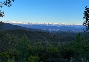 Randonnée Marche Roquebrune-sur-Argens - Le Peigros depuis le Bougnon - Photo