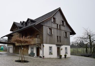 Excursión A pie Gossau (ZH) - Wetzikon - Grüningen Haufland - Photo