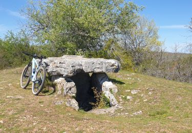 Excursión Bici de montaña Lissac-sur-Couze - lac du causse, circuit 8 - Photo