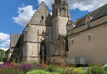 Excursión Senderismo Dissay - Voie de Tours - 11 06 2024 - Photo